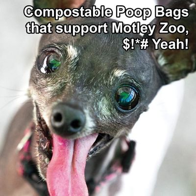 O saco do tombadilho reciclou o saco 2020 biodegradável do tombadilho do cão do perfume dos sacos do poo do cachorrinho dos produtos do animal de estimação 9x13